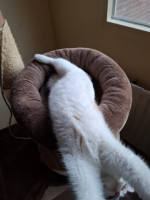 /album/26-02-2026/whatsapp-image-2026-02-26-at-17-53-46-2-jpeg/